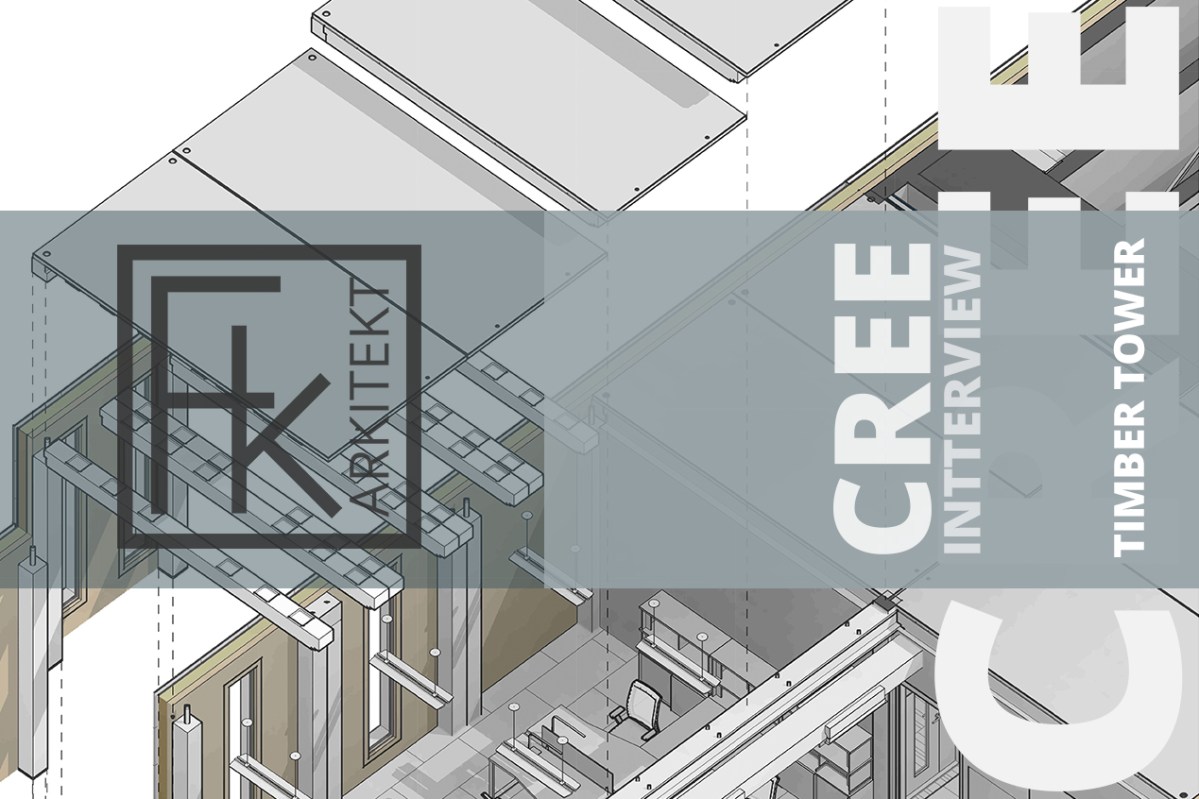 CREE INTERVIEW – Final Degree Project